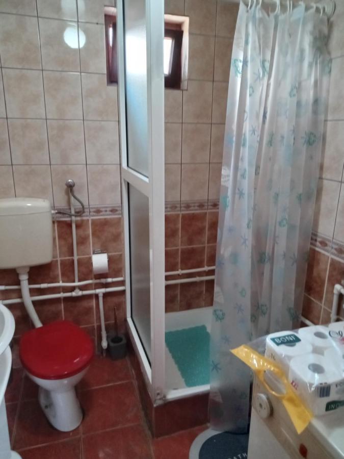 Planinska Kuca Dusan Mitrovac Esterno foto